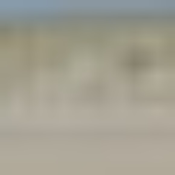 Profile picture of Antonio