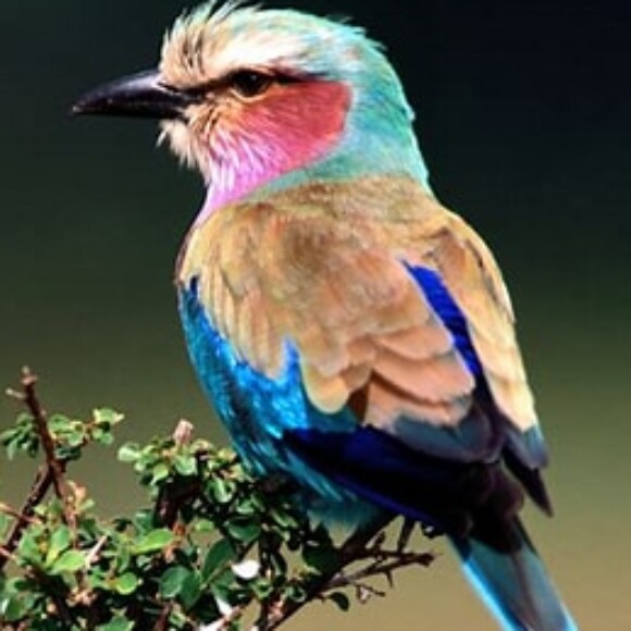 Profile picture of Jgm2019