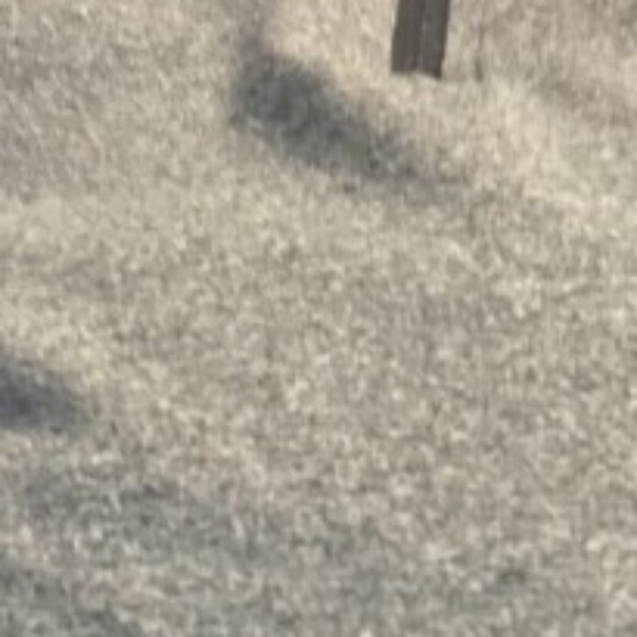 Profile picture of JC