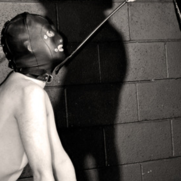 Profile picture of Thoro