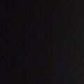 Profile picture of D