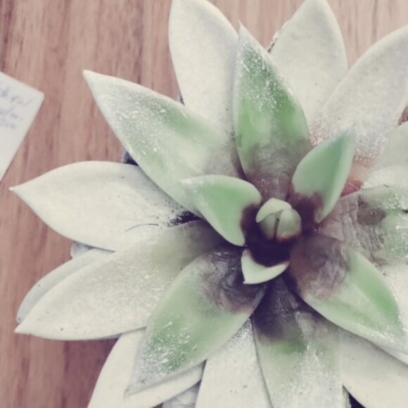 Profile picture of Gwendolyn