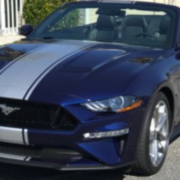 Profile picture of hornybiguy