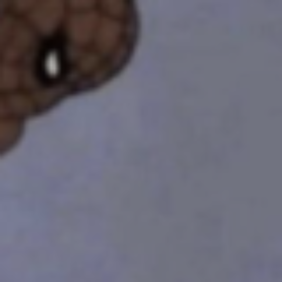 Profile picture of Marc