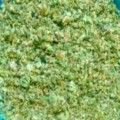 Profile picture of ddoo1715