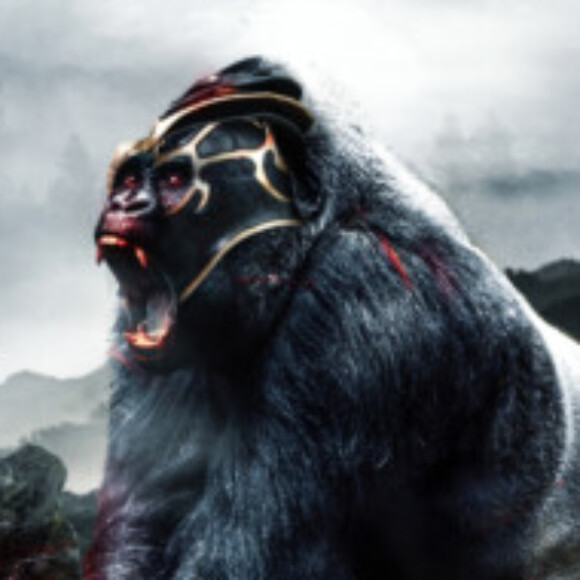 Profile picture of Rob