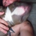 Profile picture of Weinerbang