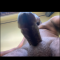 Profile picture of blacktaste