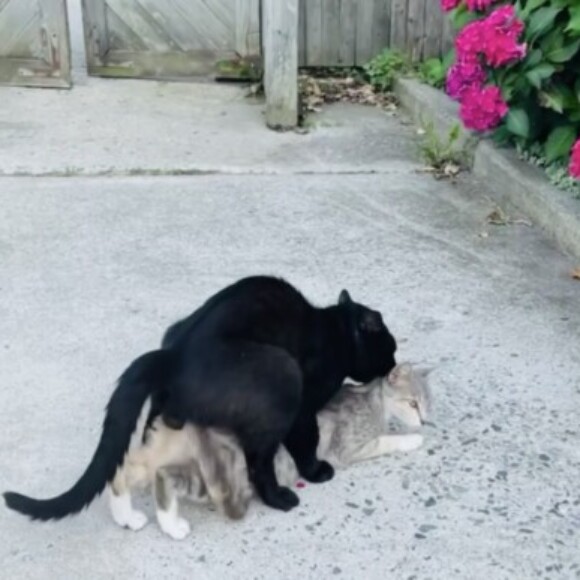 Profile picture of minxandjb