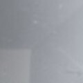 Profile picture of MeInANudeDress