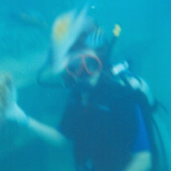 Profile picture of robel12550