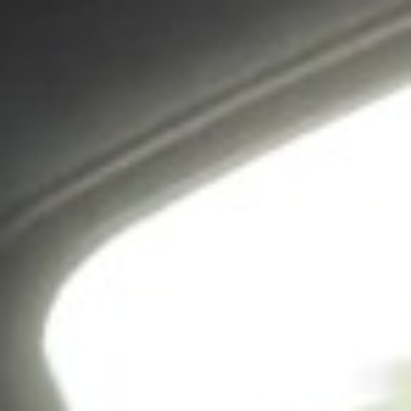 Profile picture of tvlly305