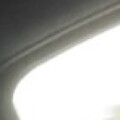 Profile picture of tvlly305