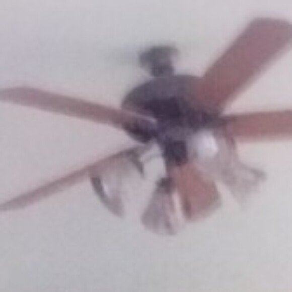 Profile picture of Mike