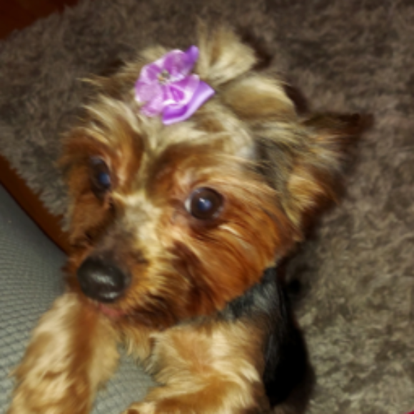 Profile picture of Journeyinme