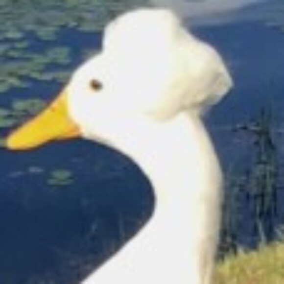 Profile picture of Master