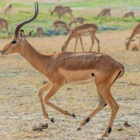 Profile picture of RealNameonInternet