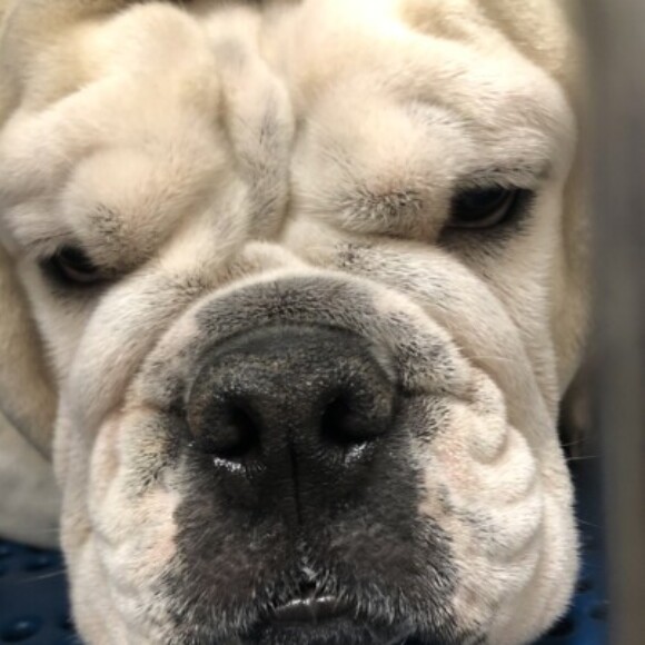 Profile picture of Alex