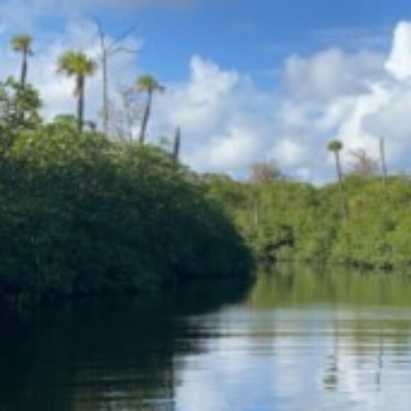 Profile picture of Phill