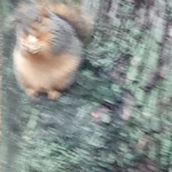 Profile picture of Rick