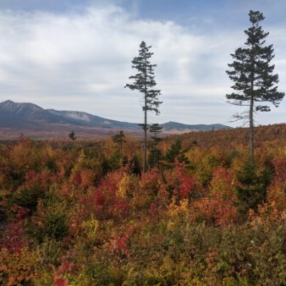 Profile picture of Rob