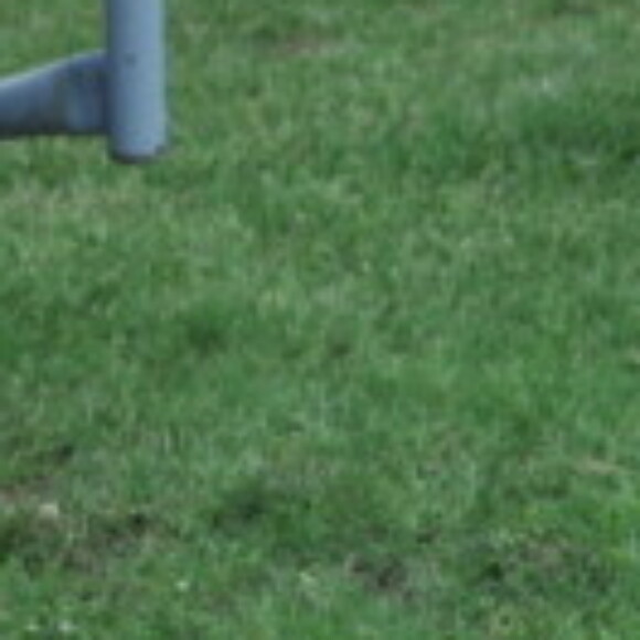 Profile picture of jred
