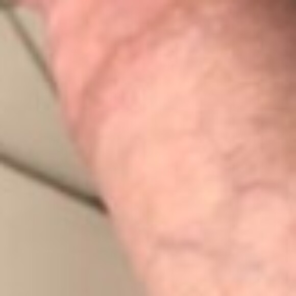 Profile picture of Joey