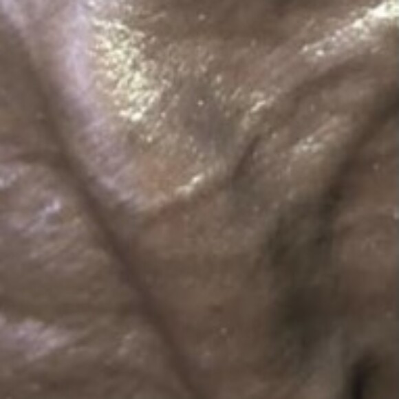 Profile picture of Tommy