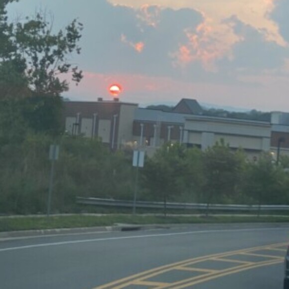 Profile picture of Elly