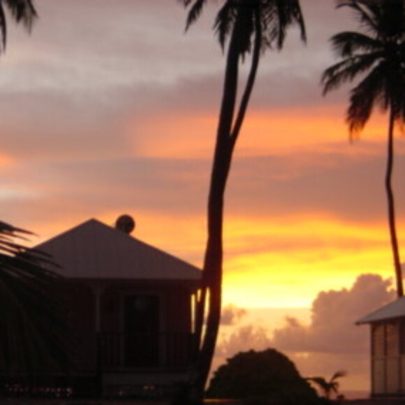 Profile picture of Ed