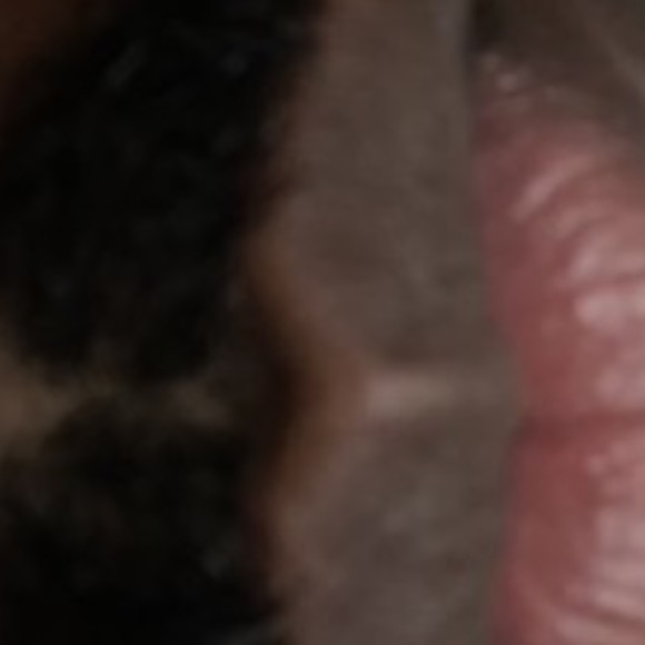 Profile picture of Tre