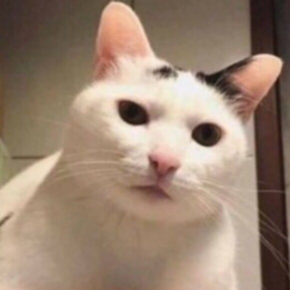 Profile picture of Sean