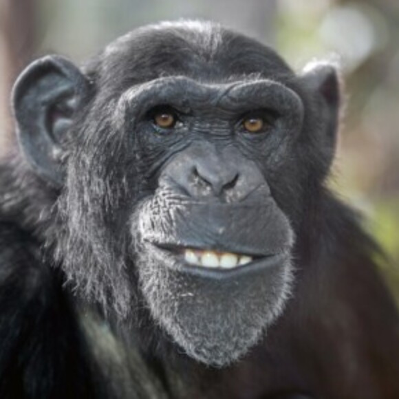 Profile picture of Bigfun4