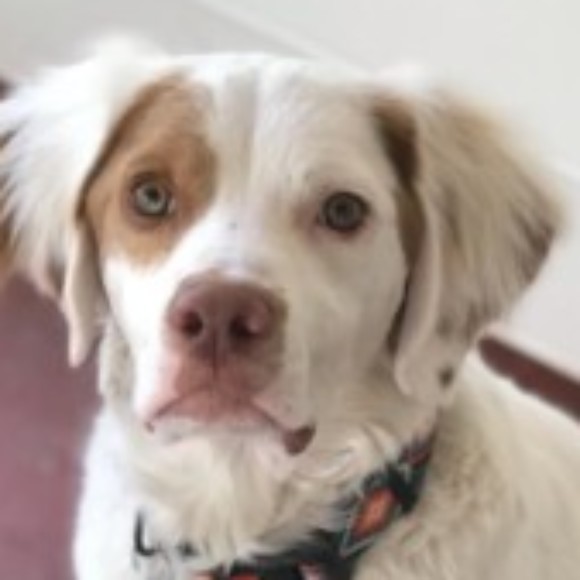 Profile picture of Jay