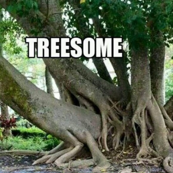 Profile picture of Rolltide570