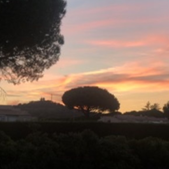 Profile picture of Bullcity23