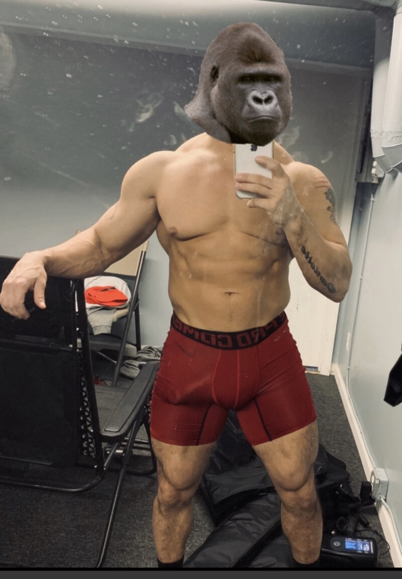 b2c56782-60ae-4c12-89f4-3498583c628d