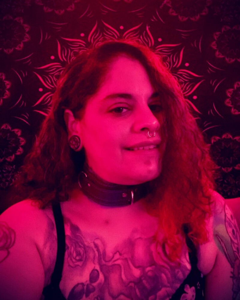 77c19642-921d-4c29-8157-bf907cf986af