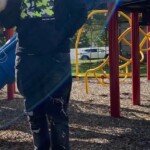 78AC743A-DA0B-4C8F-B9F5-BE75DB1AAC3C